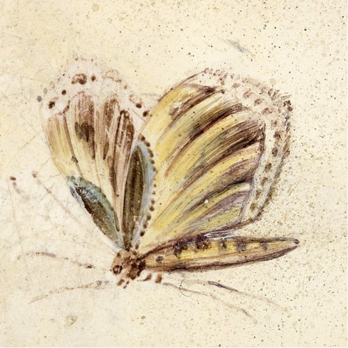 Detalje med sommerfugl på bakkebord